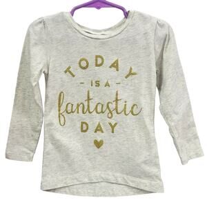 Simple‎ Joys by Carter's Gray Toddler Shirt Size 2T